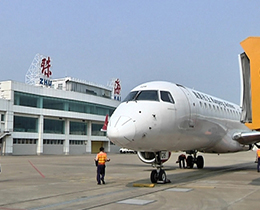 普洱唬；；；；